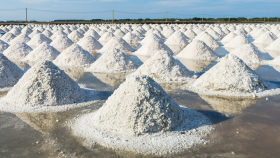 Борьба с COVID-19 вызвала резкий рост продаж соли